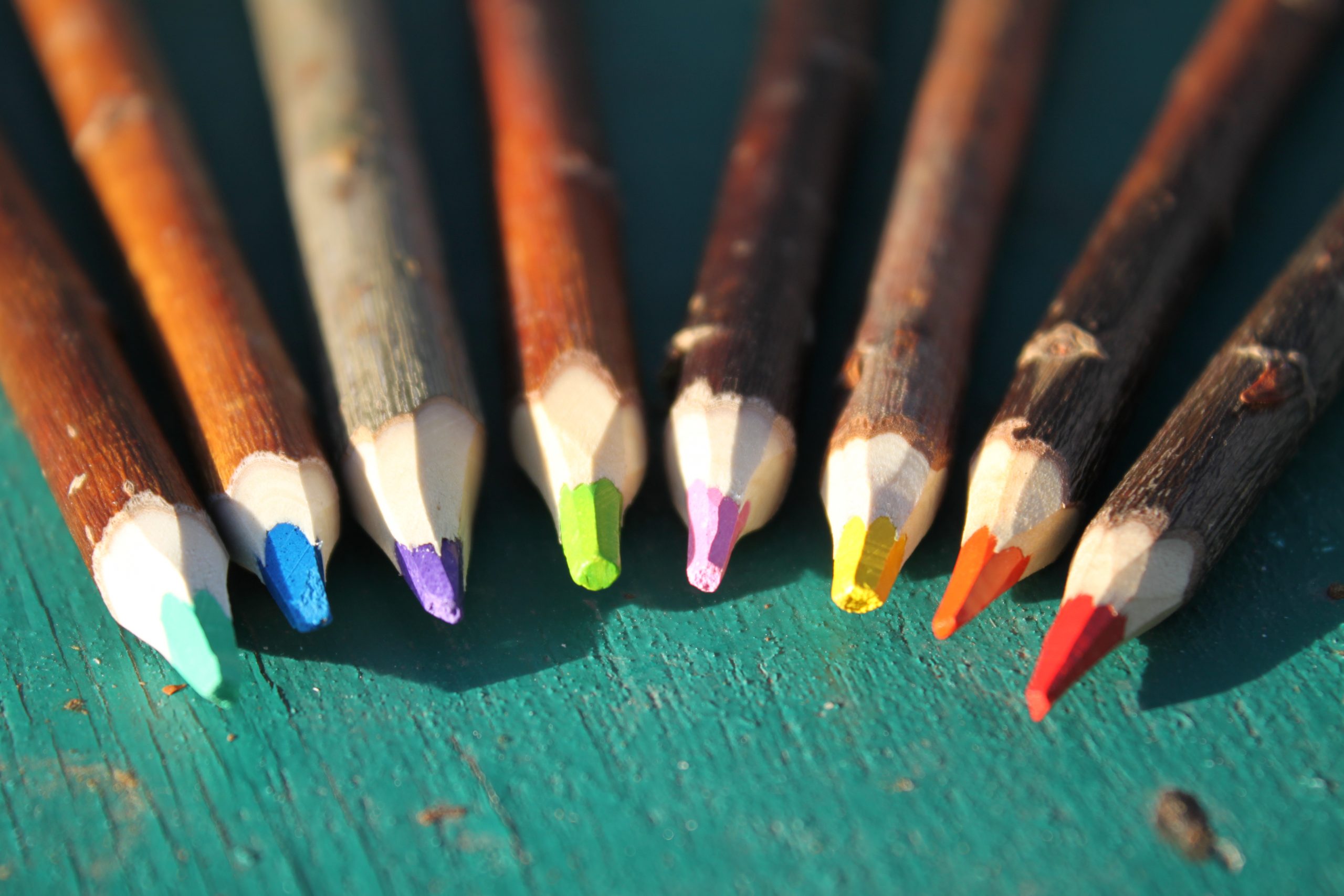 crayons de couleur en branches artisanat français lesperon landes