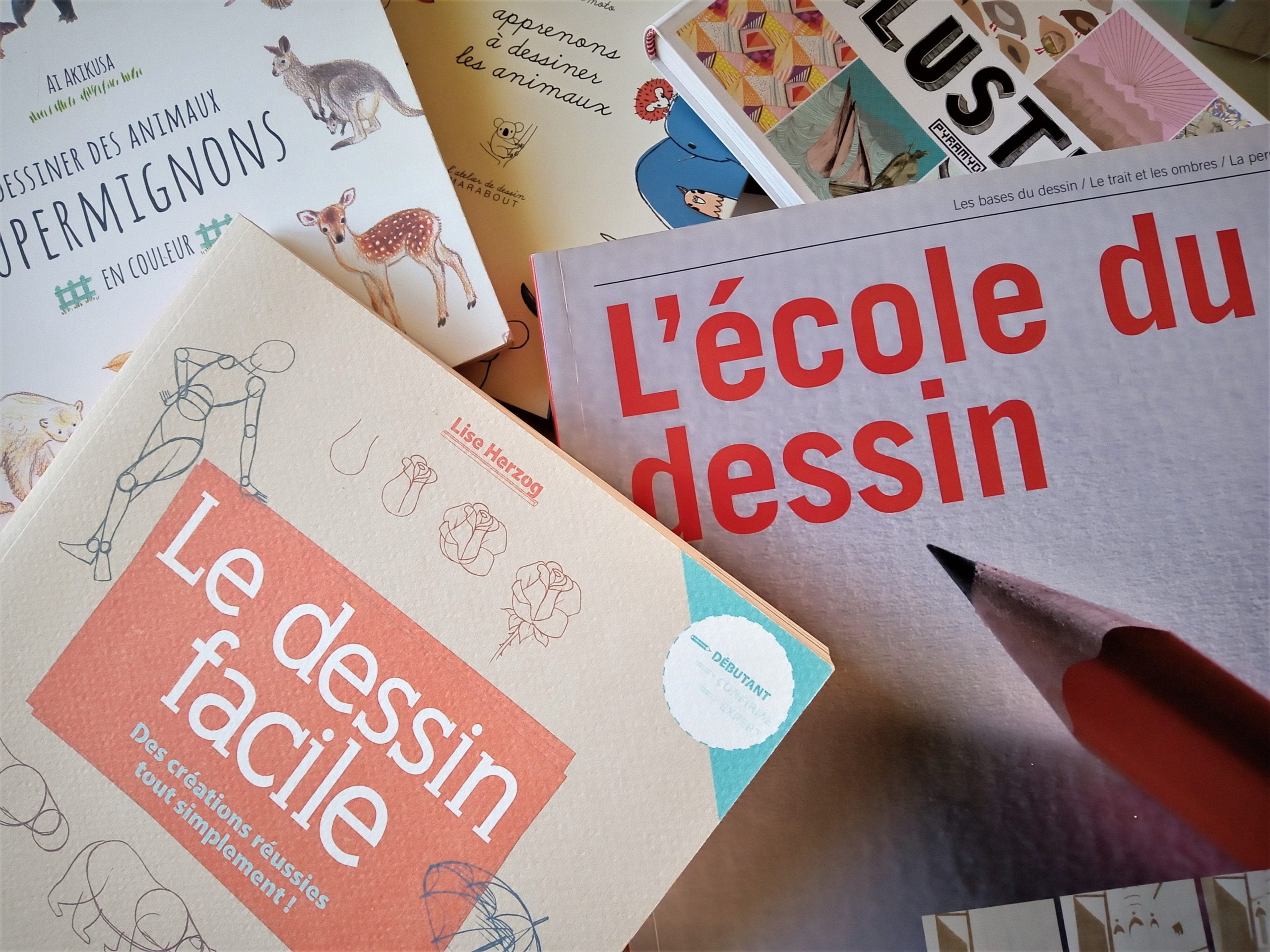 livres de référence - apprendre le dessin